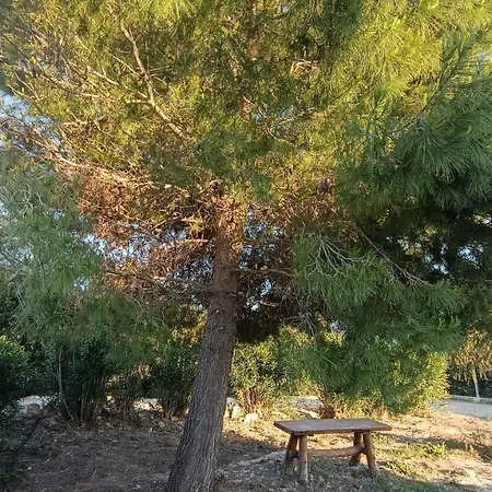 Ca' Sale Villa Marsala